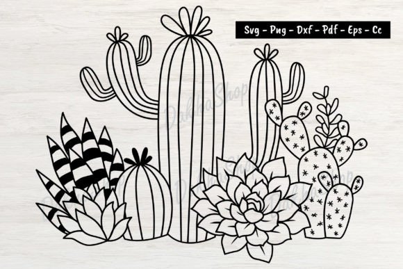 Cactus Svg Cactus Flower Svg Succulent Graphics Review