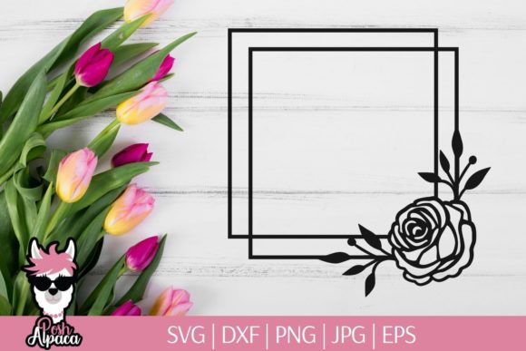 Double Frame with Rose: A Graphic Design Asset Review