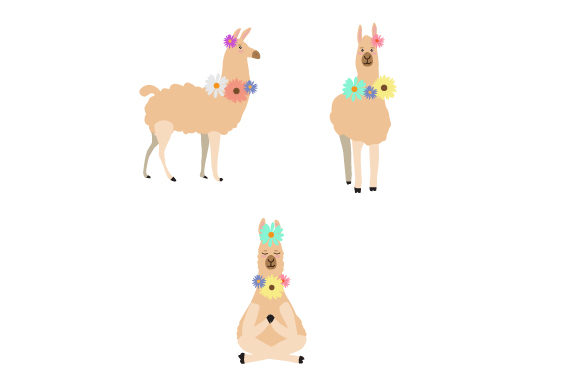 Floral Llamas: A Crafts and Animals Branding Review